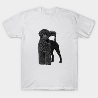 Portuguese Water Dog T-Shirt